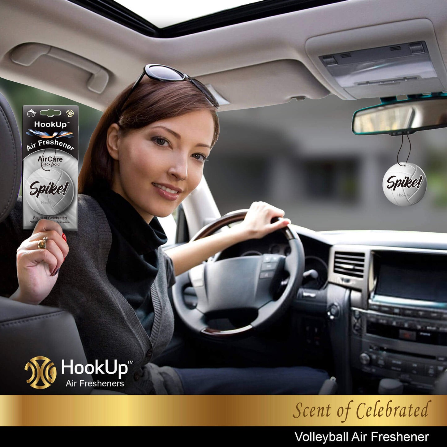 Volleyball Air Freshener (2 Pack)